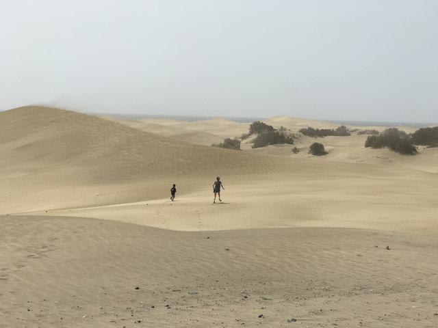 pos机套现：大西洋上的明珠——大加那利群岛（由七个火山岛组成的群岛）