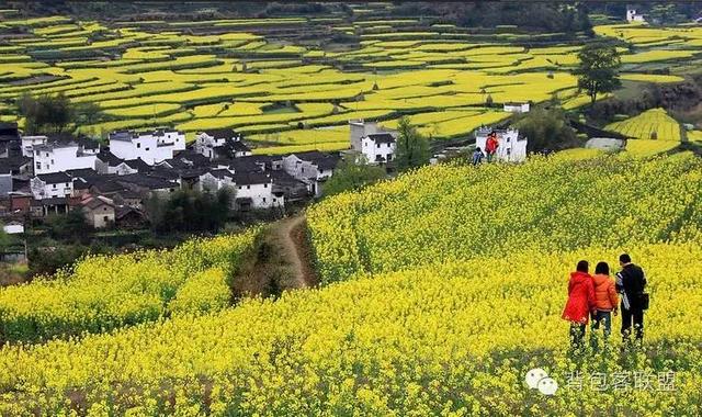 拉卡拉官网：婺源旅游全攻略